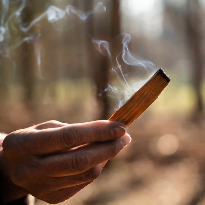 Premium Palo Santo Räucherholz aus Peru, 8 Stück