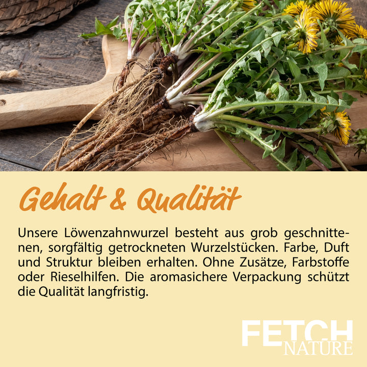 Dandelion root